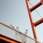 danielle-stein-1m1ZpcIBVXY-unsplash